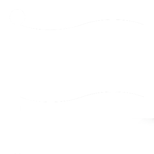 bandeira bandeira